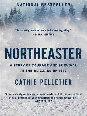 cover image of Northeaster